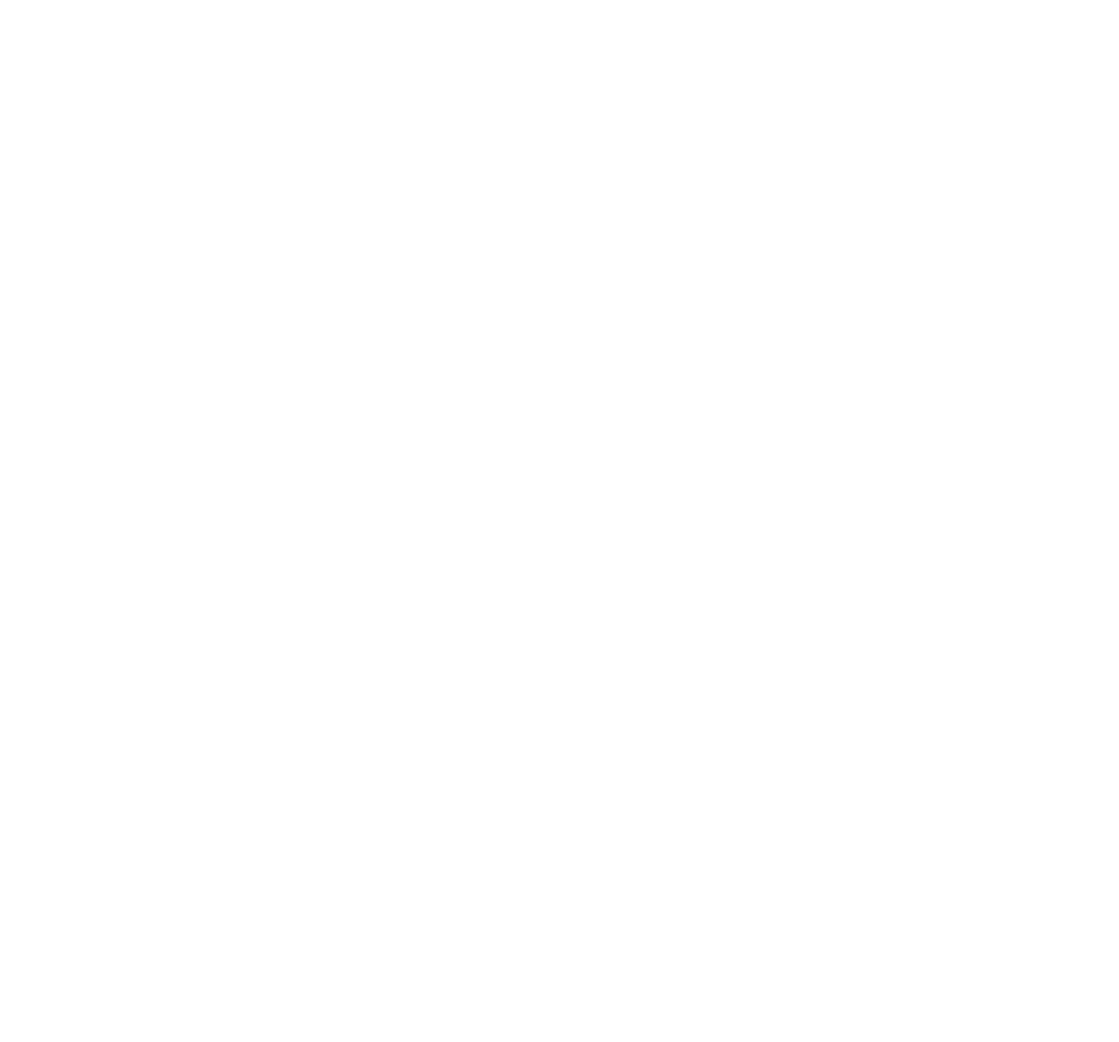 Zig zags logo white